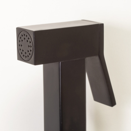 Гигиенический душ со смесителем WasserKraft A71638 черный матовый